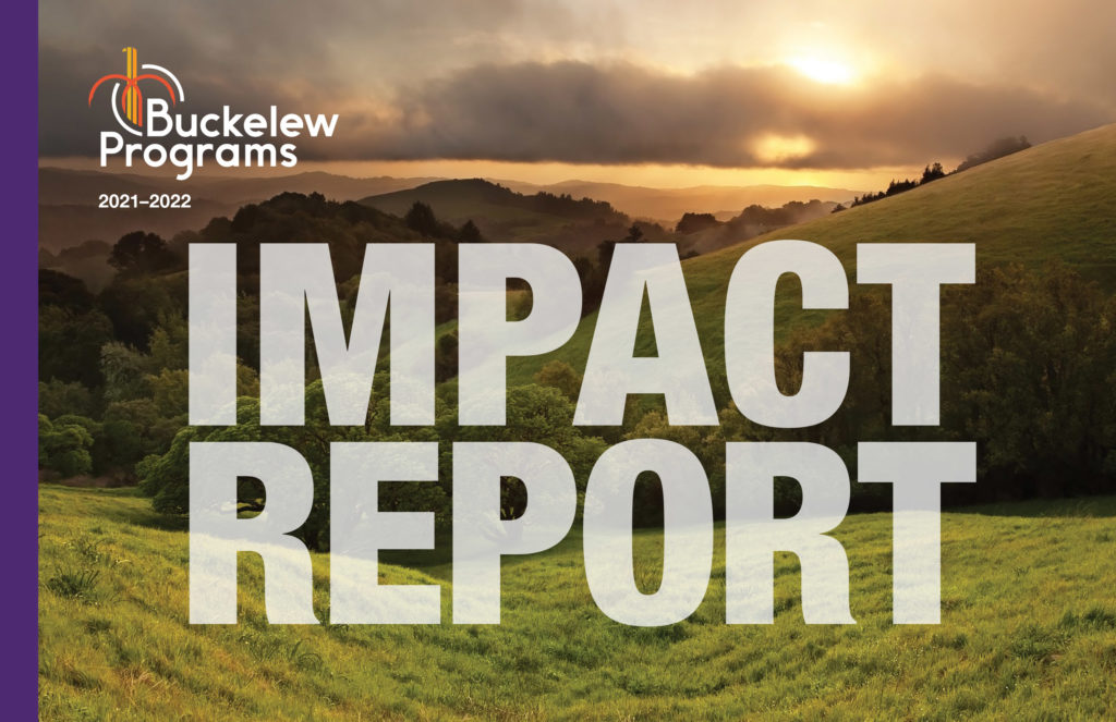 Buckelew-Impact-Report